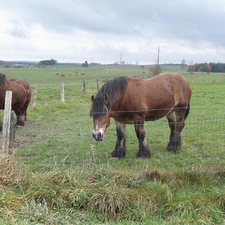 Neufchâteau Gite Les Framboisiersヴィラ エクステリア 写真